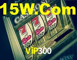 Daily Bonuses ViP300