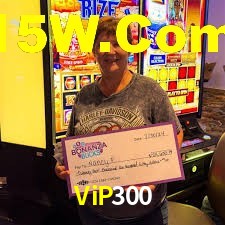 Game Statistics ViP300