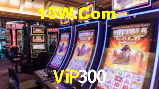 ViP300,vip300.com