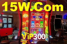Premium Interface ViP300