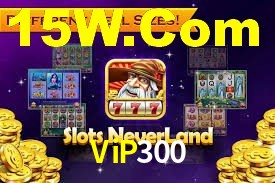 Experiência VIP ViP300