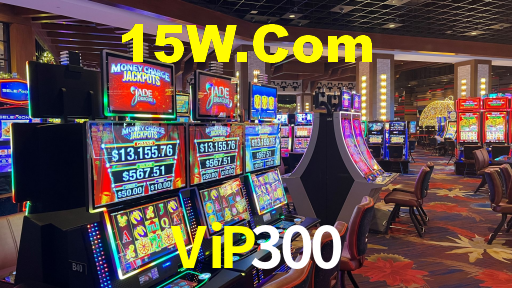 vip300.com