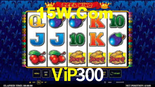 ViP300,vip300.com